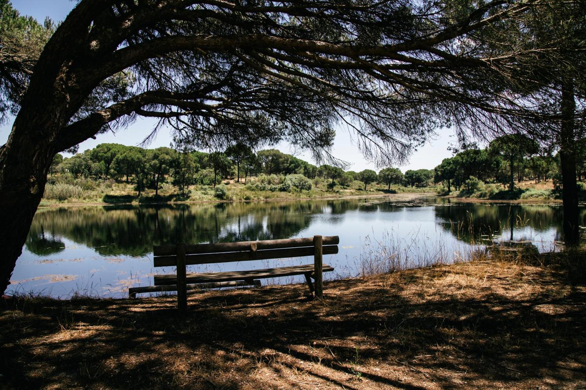 Herdade De Montalvo - Comporta Bagian luar foto