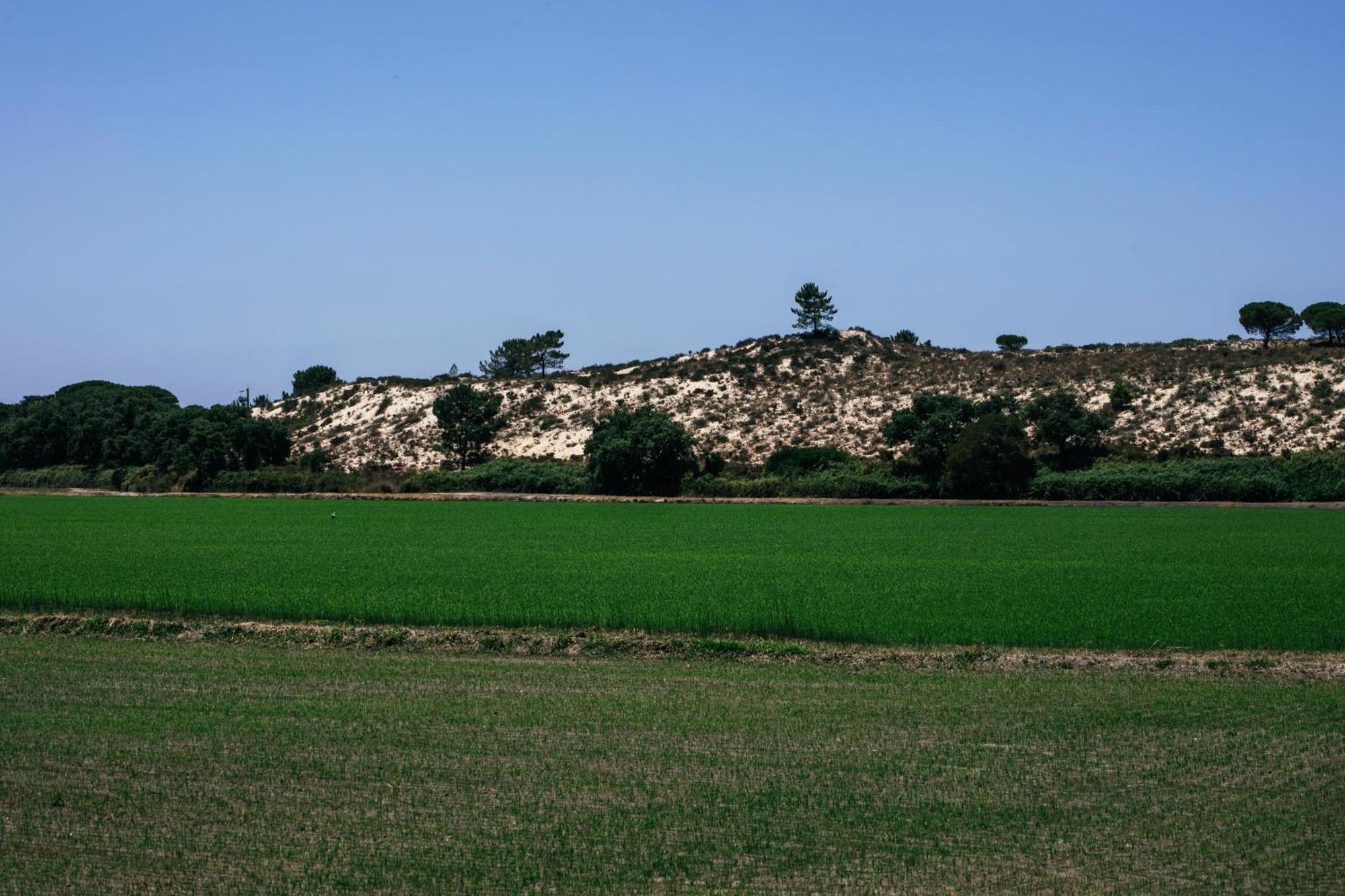 Herdade De Montalvo - Comporta Bagian luar foto