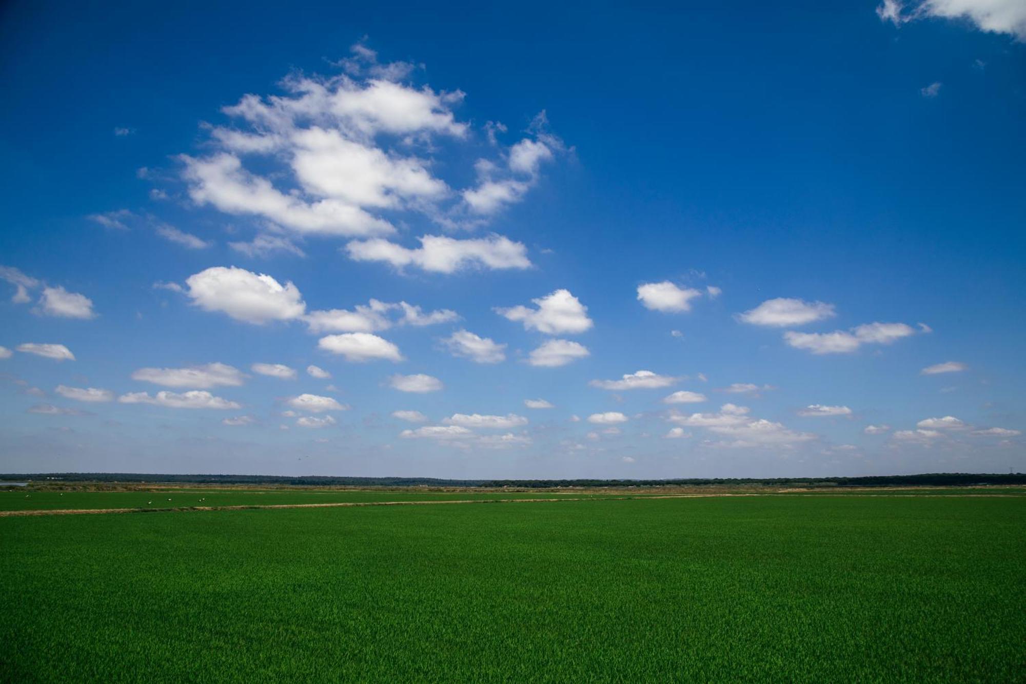 Herdade De Montalvo - Comporta Bagian luar foto
