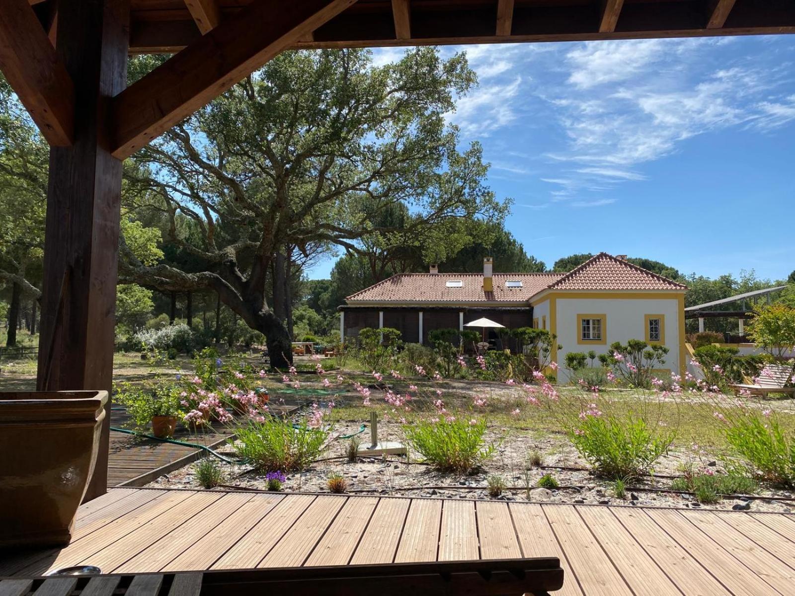 Herdade De Montalvo - Comporta Bagian luar foto