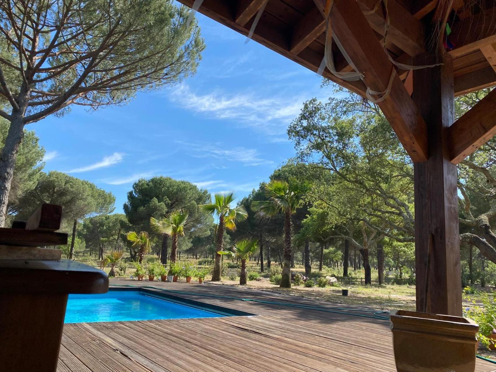 Herdade De Montalvo - Comporta Bagian luar foto